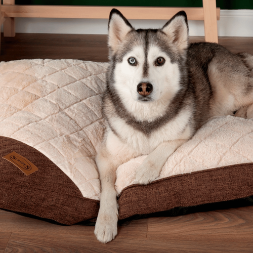 Visuel 3 du produit Couchage Chien - Scruffs Coussin Woodlands Taille XL Marron - 120 x 75 cm
