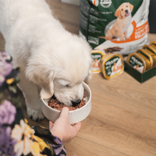 Visuel 5 du produit Équilibre & Instinct Barquette Chiot Volaille - 150 gr
