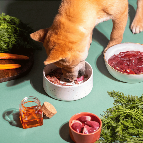 Visuel 6 du produit Équilibre & Instinct Barquette Chiot Volaille - 150 gr