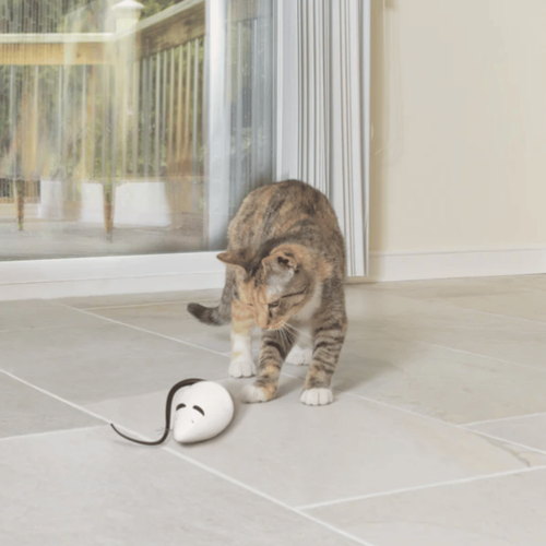 Visuel 7 du produit Jouet chat FroliCat RoloRat – PetSafe