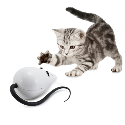 Visuel 9 du produit Jouet chat FroliCat RoloRat – PetSafe