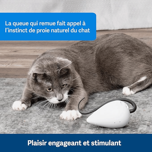 Visuel 3 du produit Jouet chat FroliCat RoloRat – PetSafe