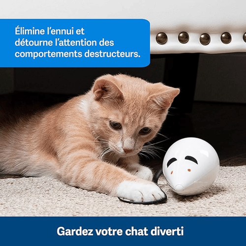 Visuel 4 du produit Jouet chat FroliCat RoloRat – PetSafe