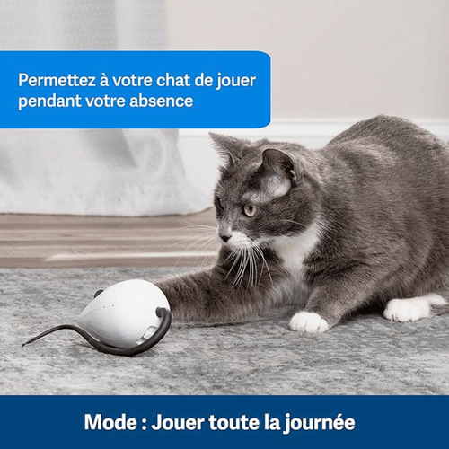Visuel 5 du produit Jouet chat FroliCat RoloRat – PetSafe
