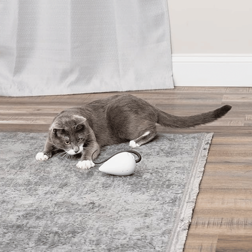 Visuel 8 du produit Jouet chat FroliCat RoloRat – PetSafe