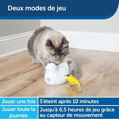 Visuel 3 du produit Jouet chat FroliCat Peek-a-Bird – PetSafe