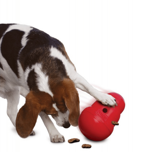 Visuel 5 du produit Jouet Chien – KONG® Wobbler Rouge – Taille S