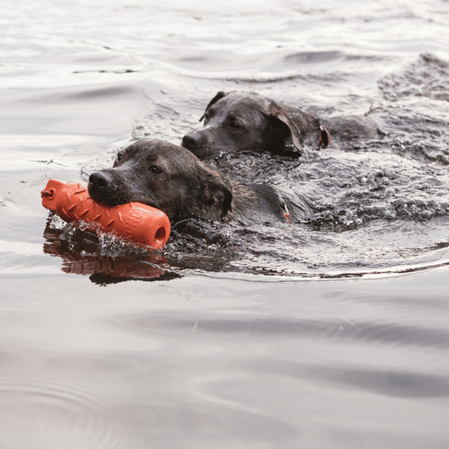 Visuel 3 du produit Jouet Chien - KONG® Training Dummy - Grand