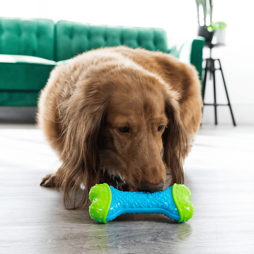Visuel 3 du produit Jouet Chien - KONG® Corestrength Bone - 14 x 6 x 3,5 cm