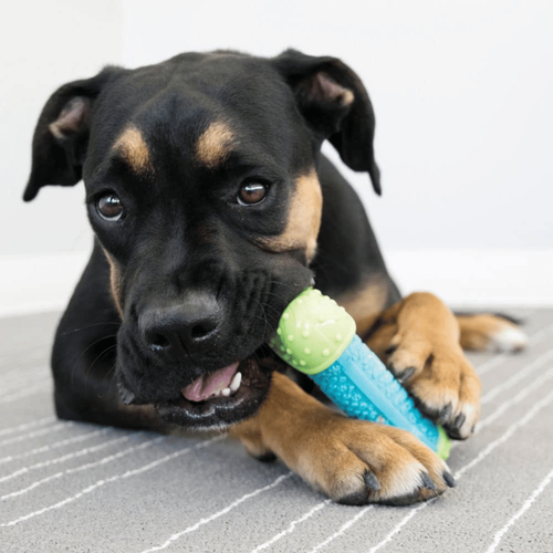 Visuel 4 du produit Jouet Chien - KONG® Corestrength Bone - 14 x 6 x 3,5 cm