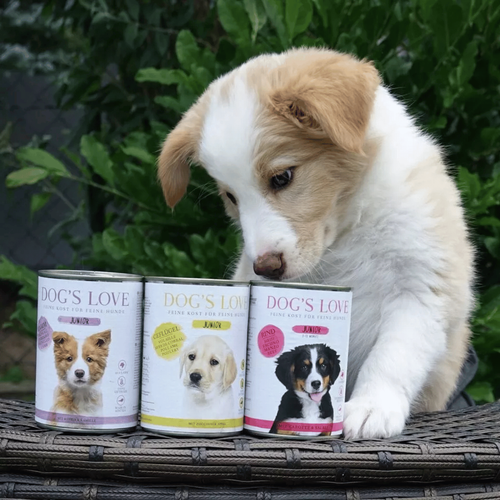 Visuel 4 du produit Pâtée pour chiots au bœuf - boite de 200 g