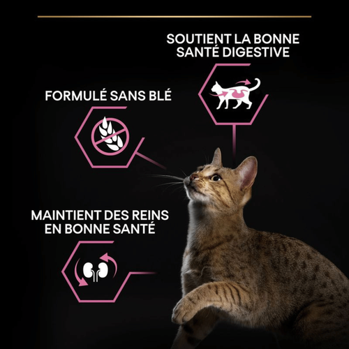Visuel 6 du produit Croquettes Chat – Pro Plan Delicate Dinde – 3 kg