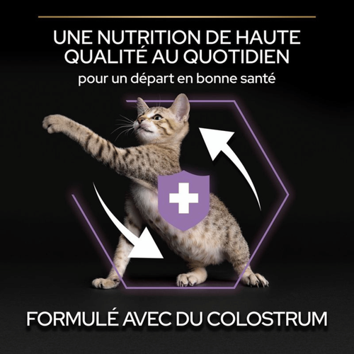 Visuel 5 du produit Croquettes Chat – Pro Plan Original Kitten Poulet – 1,5 kg