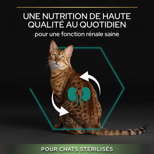 Visuel 5 du produit Croquettes Chat – Pro Plan Sterilised Saumon - 10 kg