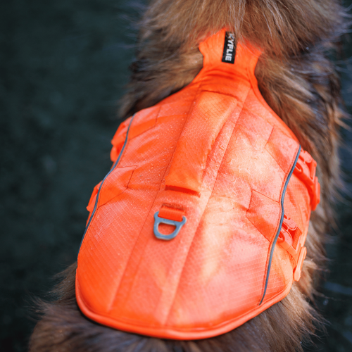 Visuel 3 du produit Kyflie Harnais de flottaison Nomad Chien Orange XL - 85/106 cm