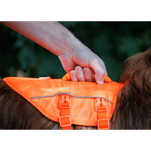 Visuel 4 du produit Kyflie Harnais de flottaison Nomad Chien Orange XL - 85/106 cm