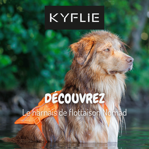 Capture vidéo du produit Kyflie Harnais de flottaison Nomad Chien Orange XL - 85/106 cm