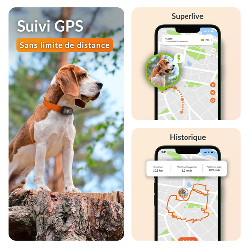 Visuel 3 du produit Sécurité Chien - Weenect GPS noir XS – 60 X 23 X 12 mm