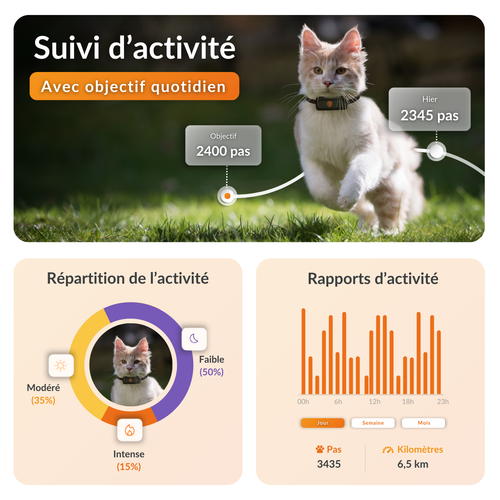 Visuel 4 du produit Sécurité Chat - Weenect GPS noir XS – 60 X 23 X 12 mm