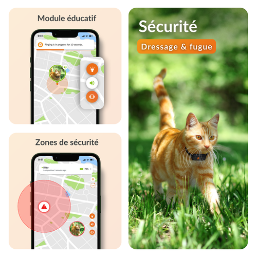 Visuel 5 du produit Sécurité Chat - Weenect GPS noir XS – 60 X 23 X 12 mm