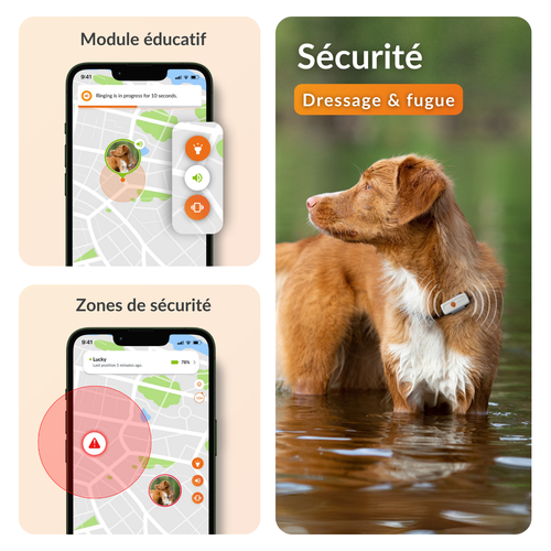 Visuel 5 du produit Sécurité Chien - Weenect GPS blanc XS – 60 X 23 X 12 mm