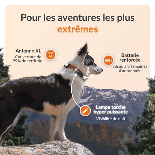Visuel 9 du produit Weenect GPS Chien XT noir