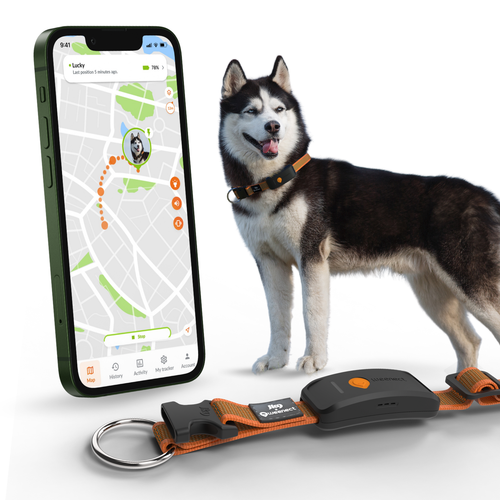 Visuel 2 du produit Weenect GPS Chien XT orange