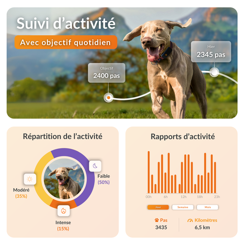 Visuel 4 du produit Weenect GPS Chien XT orange