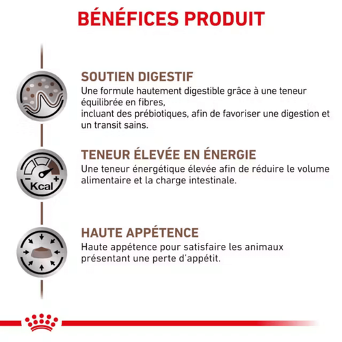 Visuel 4 du produit Croquettes Chat – Royal Canin Gastrointestinale – 2 kg