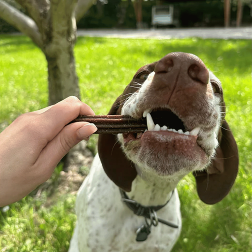 Visuel 4 du produit Marly & Dan Friandise Chien Sticks à mâcher Grands Chiens Dental Care - 7 sticks