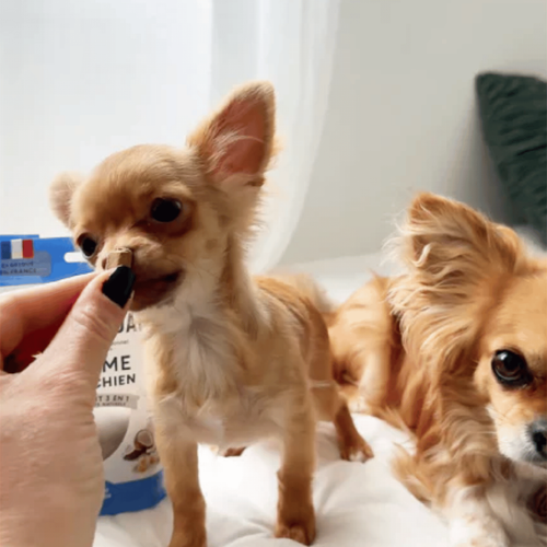 Visuel 3 du produit Marly & Dan Friandise Chien Tendres bouchées Calme - 50 gr