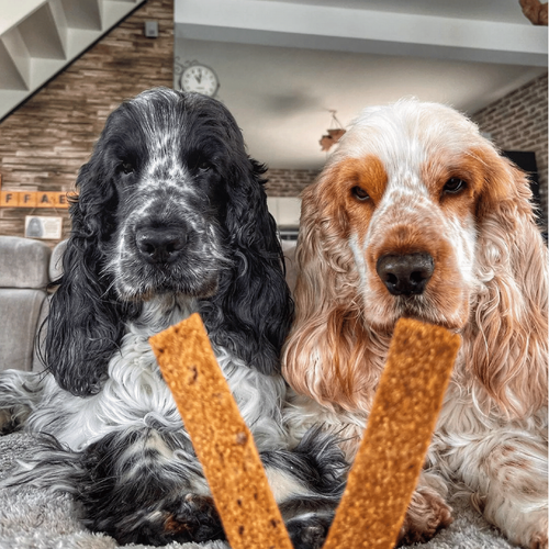 Visuel 4 du produit Friandise Chien – Marly & Dan Barres à mâcher « Articulations » - 80 gr