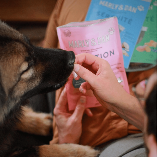 Visuel 4 du produit Friandise Chien – Marly & Dan Barres à mâcher « Digestion » - 80 gr