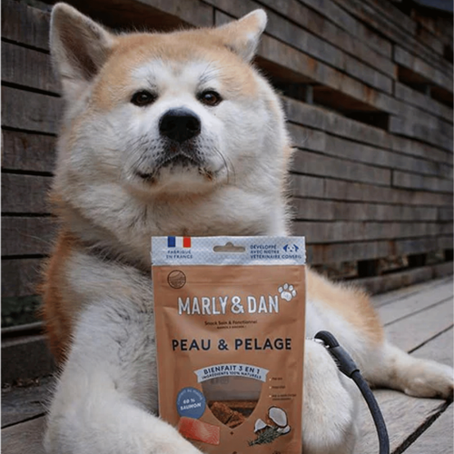 Visuel 4 du produit Friandise Chien – Marly & Dan Barres à mâcher « Peau et pelage » - 80 gr