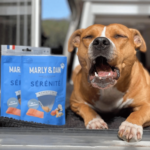 Visuel 4 du produit Friandise Chien – Marly & Dan Tendres bouchées « Sérénité » - 100 gr