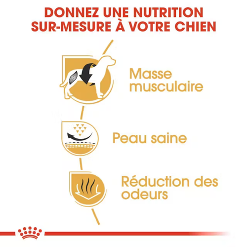 Visuel 4 du produit Croquettes Chien – Royal Canin Bouledogue Français Adulte - 9 kg