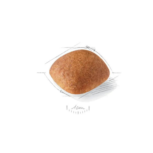 Visuel 3 du produit Croquettes Chien – Royal Canin Golden Retriever Adulte – 12 kg