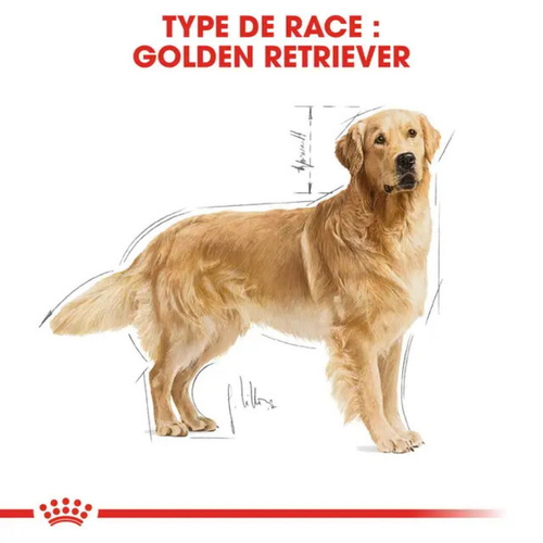 Visuel 5 du produit Croquettes Chien – Royal Canin Golden Retriever Adulte – 12 kg