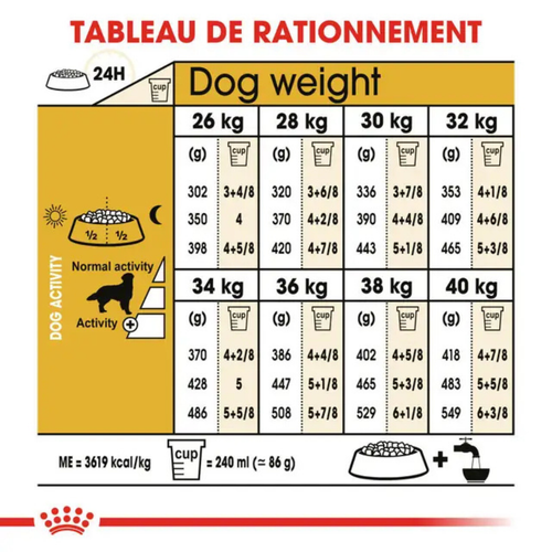 Visuel 6 du produit Croquettes Chien – Royal Canin Golden Retriever Adulte – 12 kg