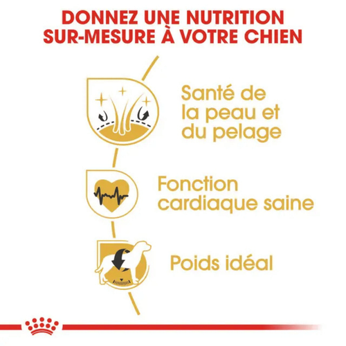 Visuel 4 du produit Croquettes Chien – Royal Canin Golden Retriever Adulte – 12 kg