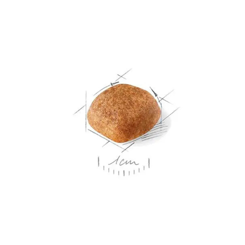 Visuel 3 du produit Croquettes Chien – Royal Canin Cavalier King Charles Adulte – 3 kg