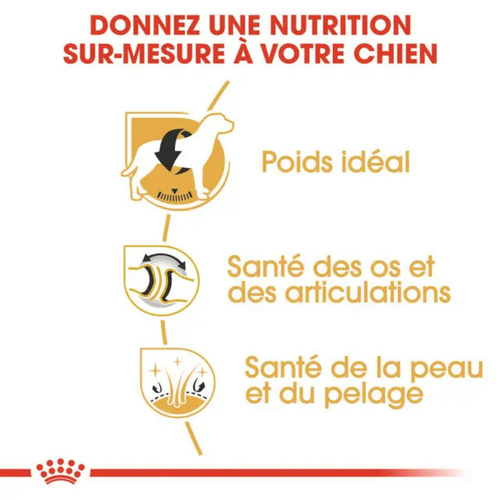Visuel 4 du produit Croquettes Chien – Royal Canin Labrador Retriever Adulte – 12 kg