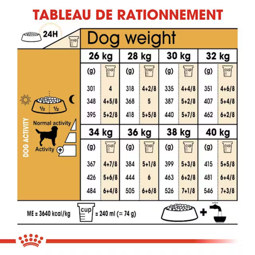 Visuel 6 du produit Croquettes Chien – Royal Canin Labrador Retriever Adulte – 12 kg