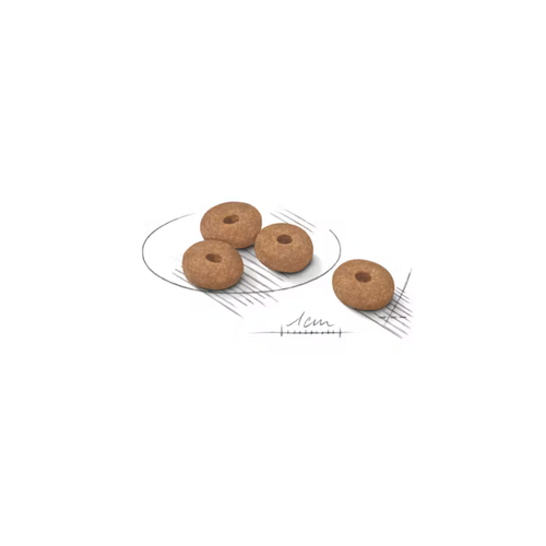 Visuel 3 du produit Croquettes Chien – Royal Canin Mini Light Weight Care - 3 kg