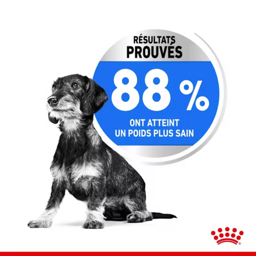 Visuel 5 du produit Croquettes Chien – Royal Canin Mini Light Weight Care - 3 kg
