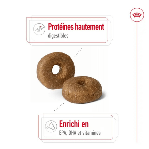 Visuel 4 du produit Croquettes Chien - Royal Canin Maxi Ageing 8+ - 15 kg