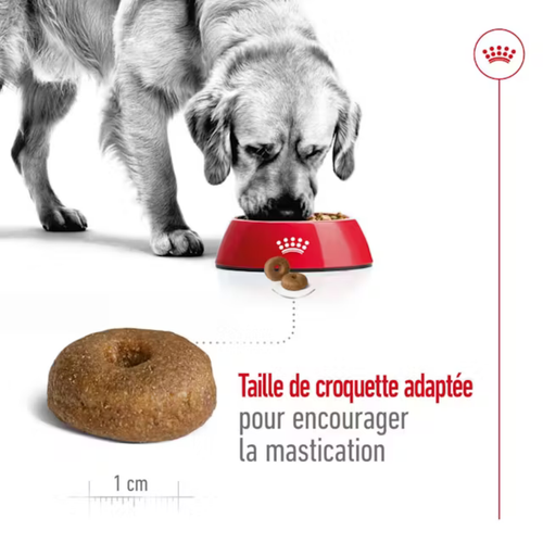Visuel 5 du produit Croquettes Chien - Royal Canin Maxi Ageing 8+ - 15 kg