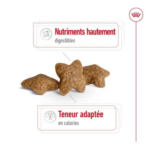 Visuel 4 du produit Croquettes Chien – Royal Canin Mini Adulte – 2 kg