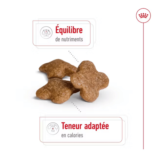 Visuel 4 du produit Croquettes Chien – Royal Canin Mini Adulte 8+ - 2 kg
