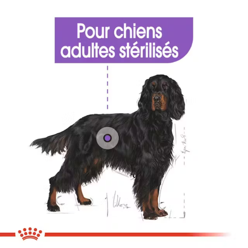 Visuel 3 du produit Croquettes Chien – Royal Canin Maxi Sterilised Adult – 12 kg